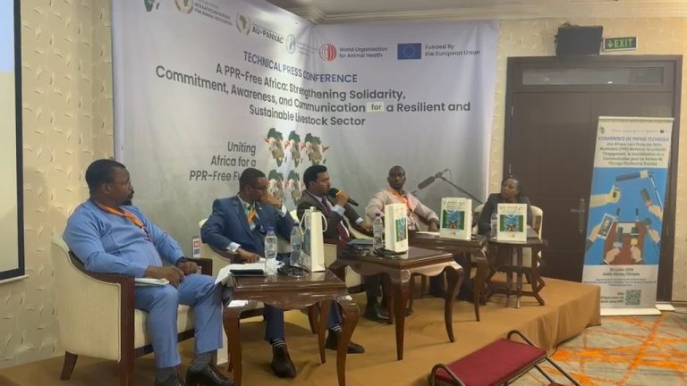 L&rsquo;AFRIQUE ACCÉLÈRE SA STRATÉGIE CONTRE LA PPR QUI MENACE DES MILLIONS D&rsquo;ÉLEVEURS