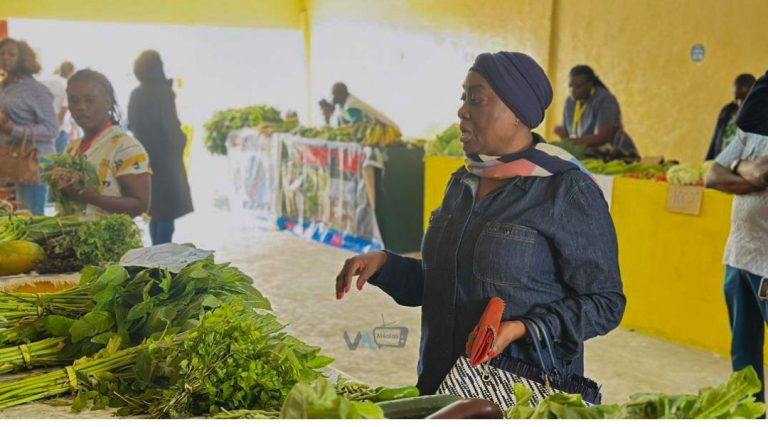 GRANDE FOIRE AGRICOLE DU CONGO : MARIE-FRANCE LYDIE HÉLÈNE PONGAULT SOUTIENT LES PRODUCTEURS DU CONGO-OUBANGUI
