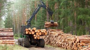 FORÊTS : UNE NOUVELLE AGENCE POUR CONTRÔLER LES EXPORTATIONS DE BOIS